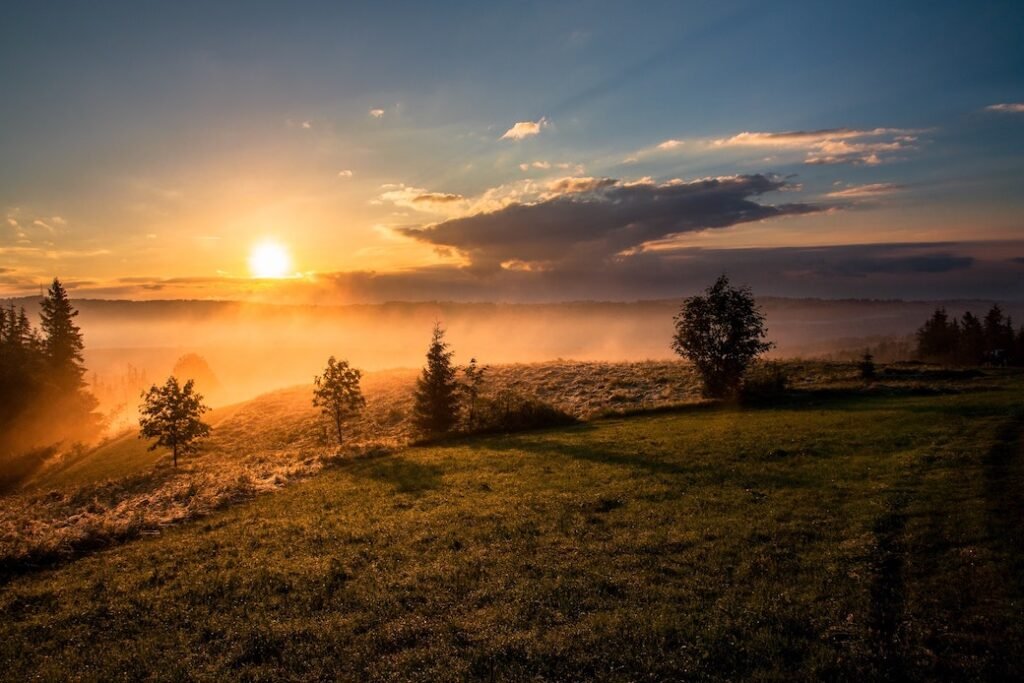 Start Your Day in a Relaxed State